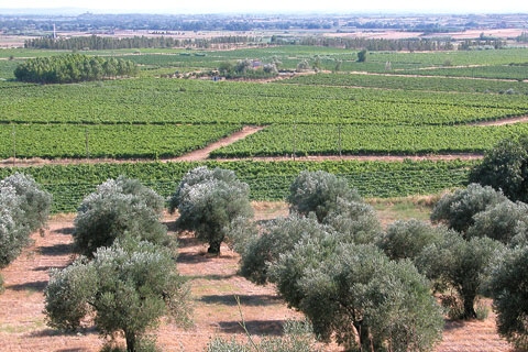 View of the whole flat Alt Empordà