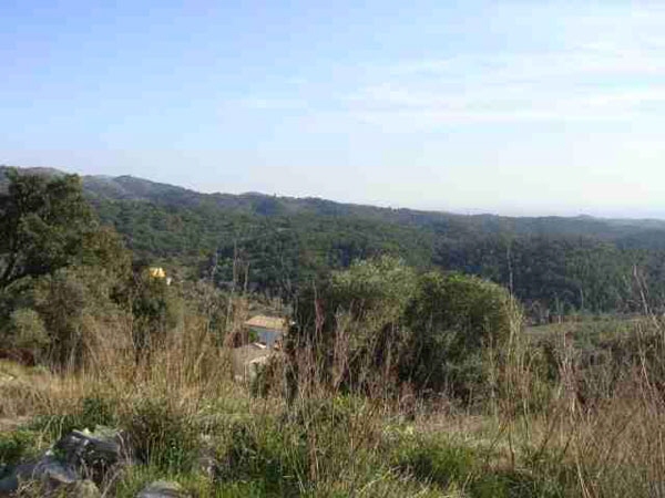 plot in Vilamaniscle