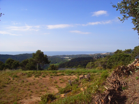 plot in Sant Pol