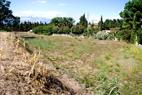 plot in Torroella de Fluvià