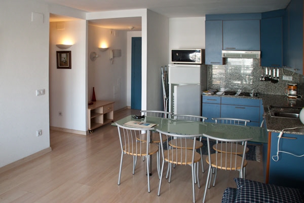 Dining room and kitchen in american style