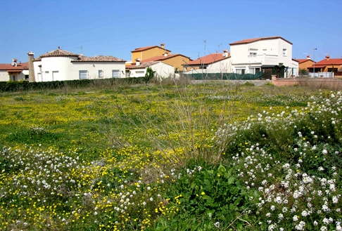 plot in Vilacolum