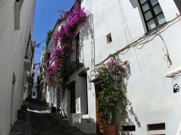 The famous alley Calle des Call