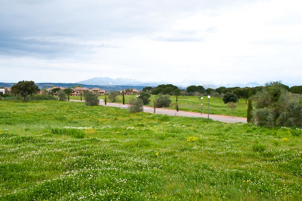 plot in Peralada
