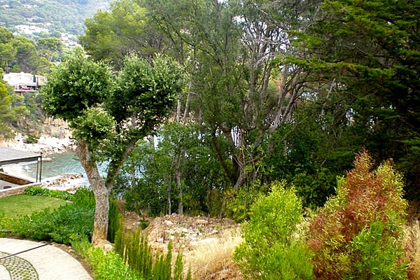 plot in Begur