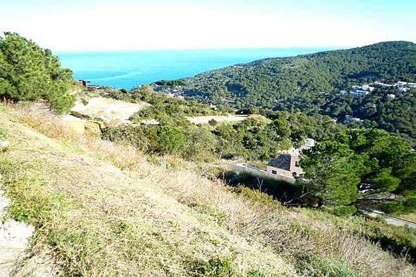 plot in Begur