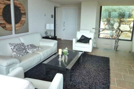 Classy living room with large windows
