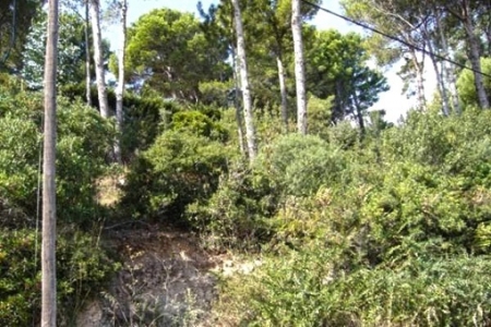 plot in Begur